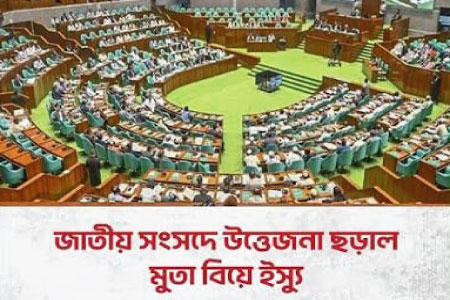 মুতয়া বিয়ে ও মামুনুল হক প্রসঙ্গে সংসদে তুমুল বিতর্ক : বক্তব্য এক্সপাঞ্জ