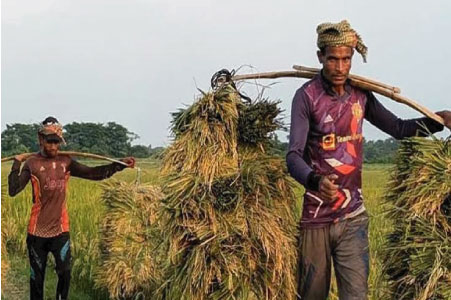 উত্তরাঞ্চলের কৃষি উন্নয়নে ৩০০০ কোটি টাকার পুনঃঅর্থায়ন তহবিল